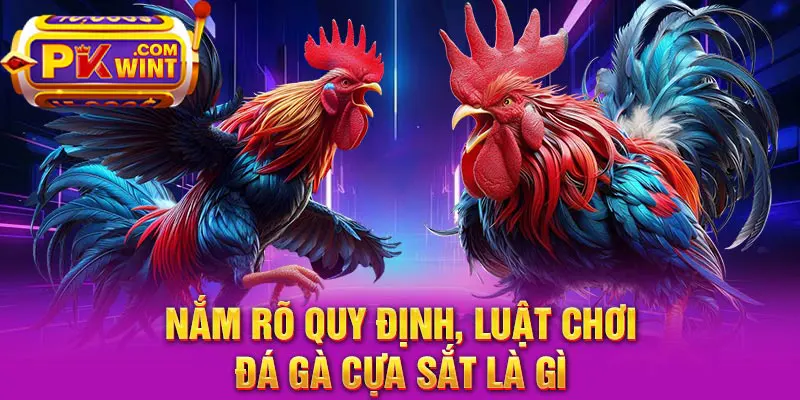 Nắm rõ quy định, luật chơi đá gà cựa sắt là gì