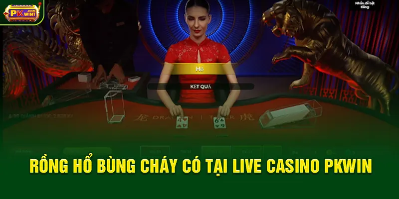 Rồng Hổ bùng cháy có tại Live Casino PKWIN